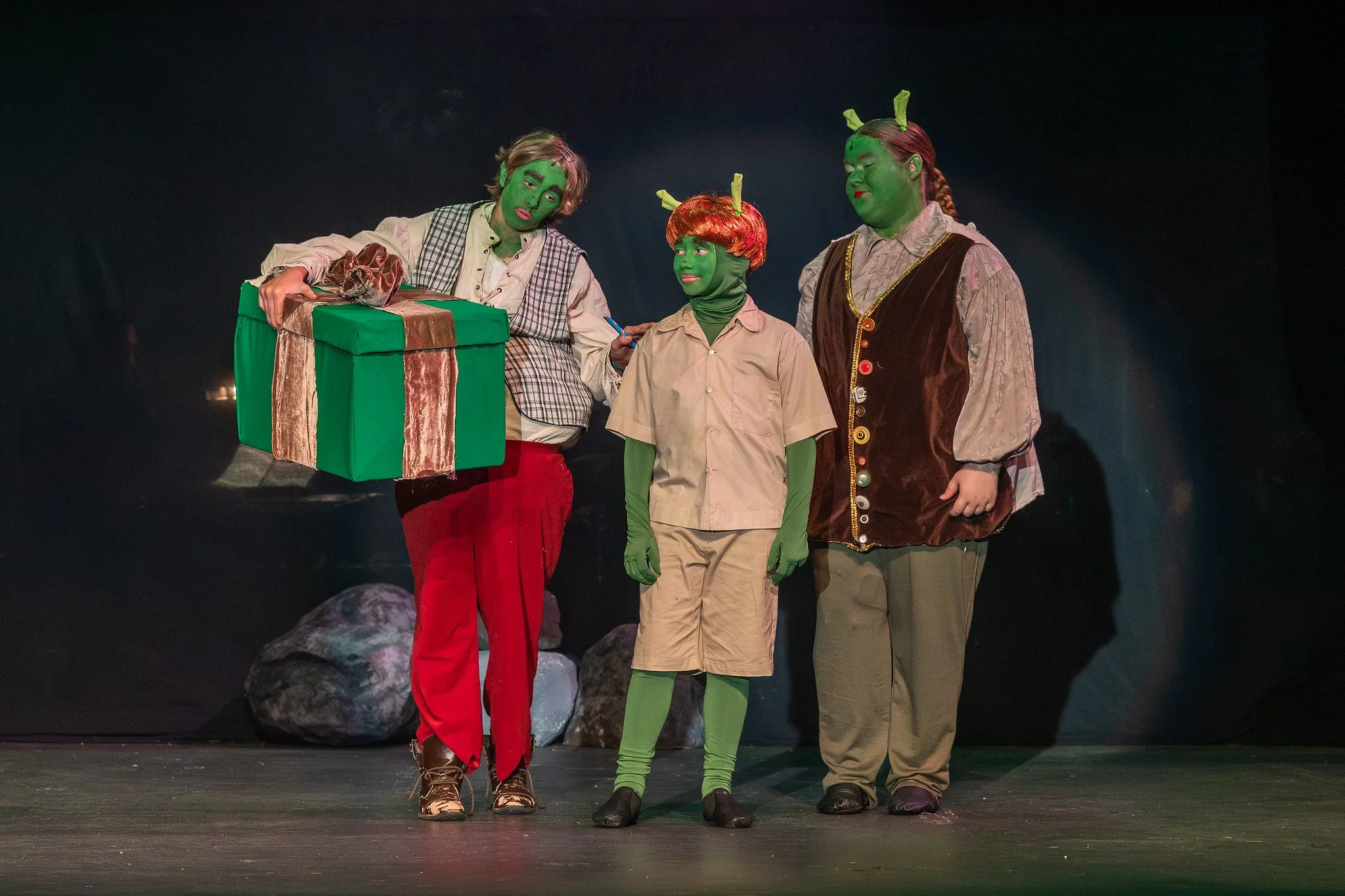 Shrek the Musical, photo 2