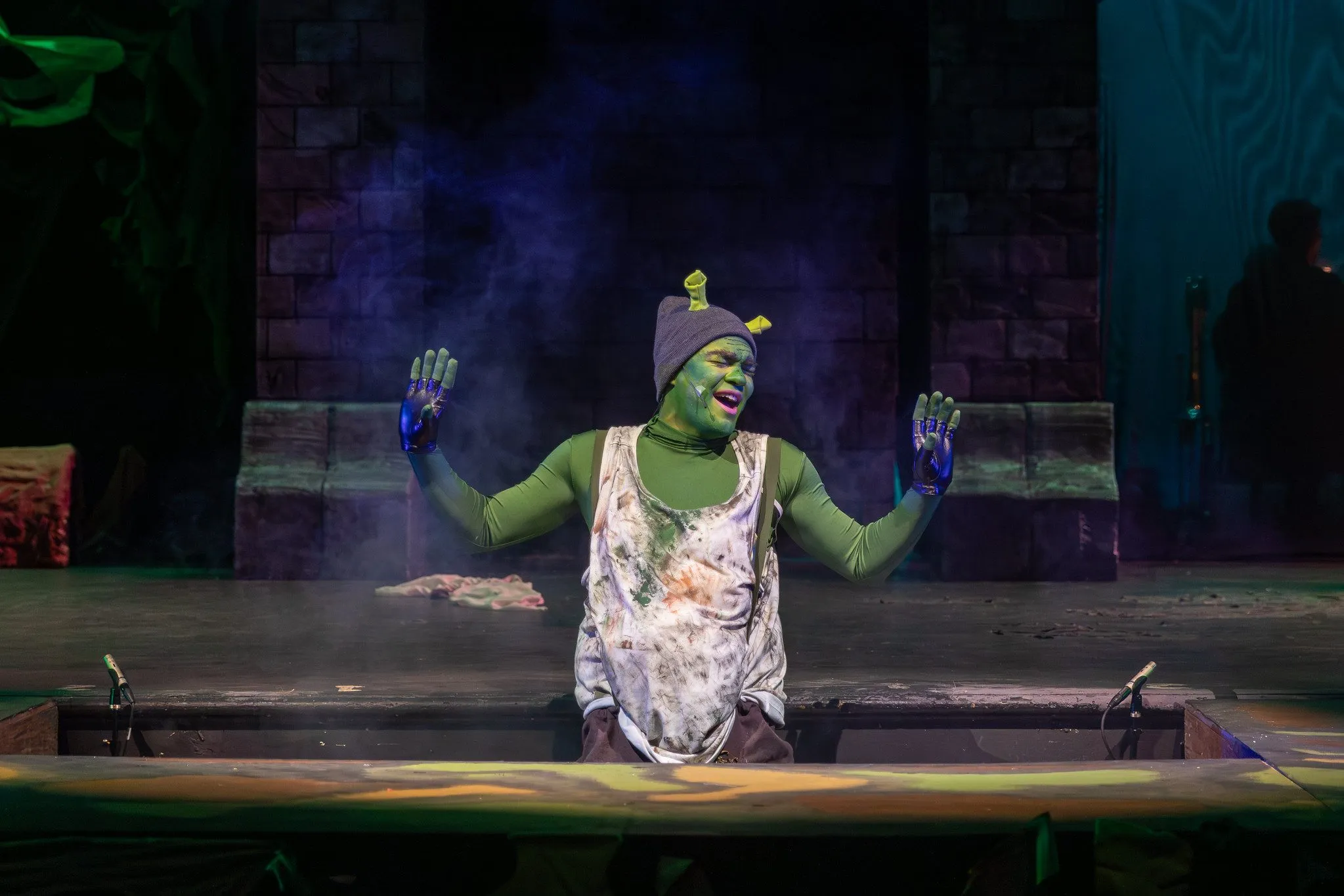 Shrek the Musical, photo 4