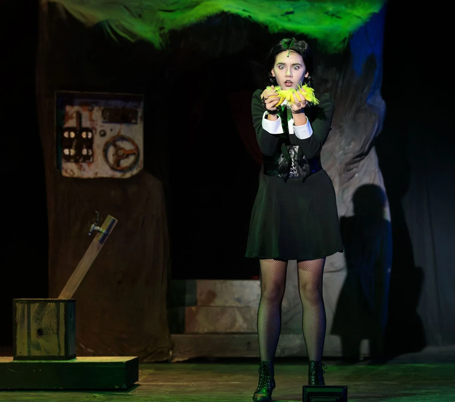 The Addams Family, photo 6