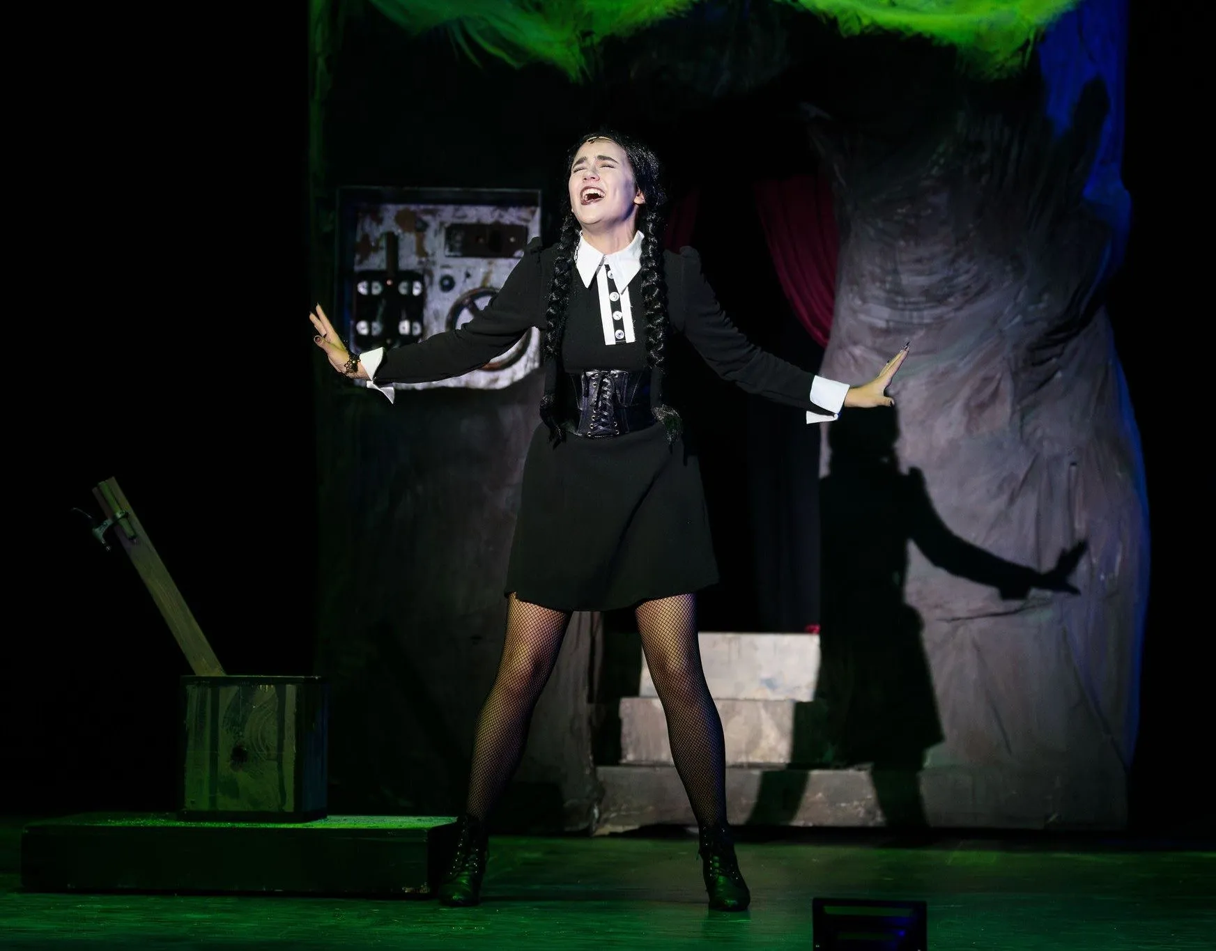 The Addams Family, photo 7