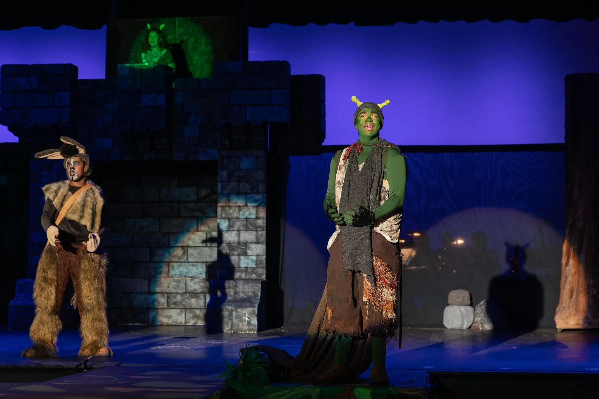 Shrek the Musical, photo 14