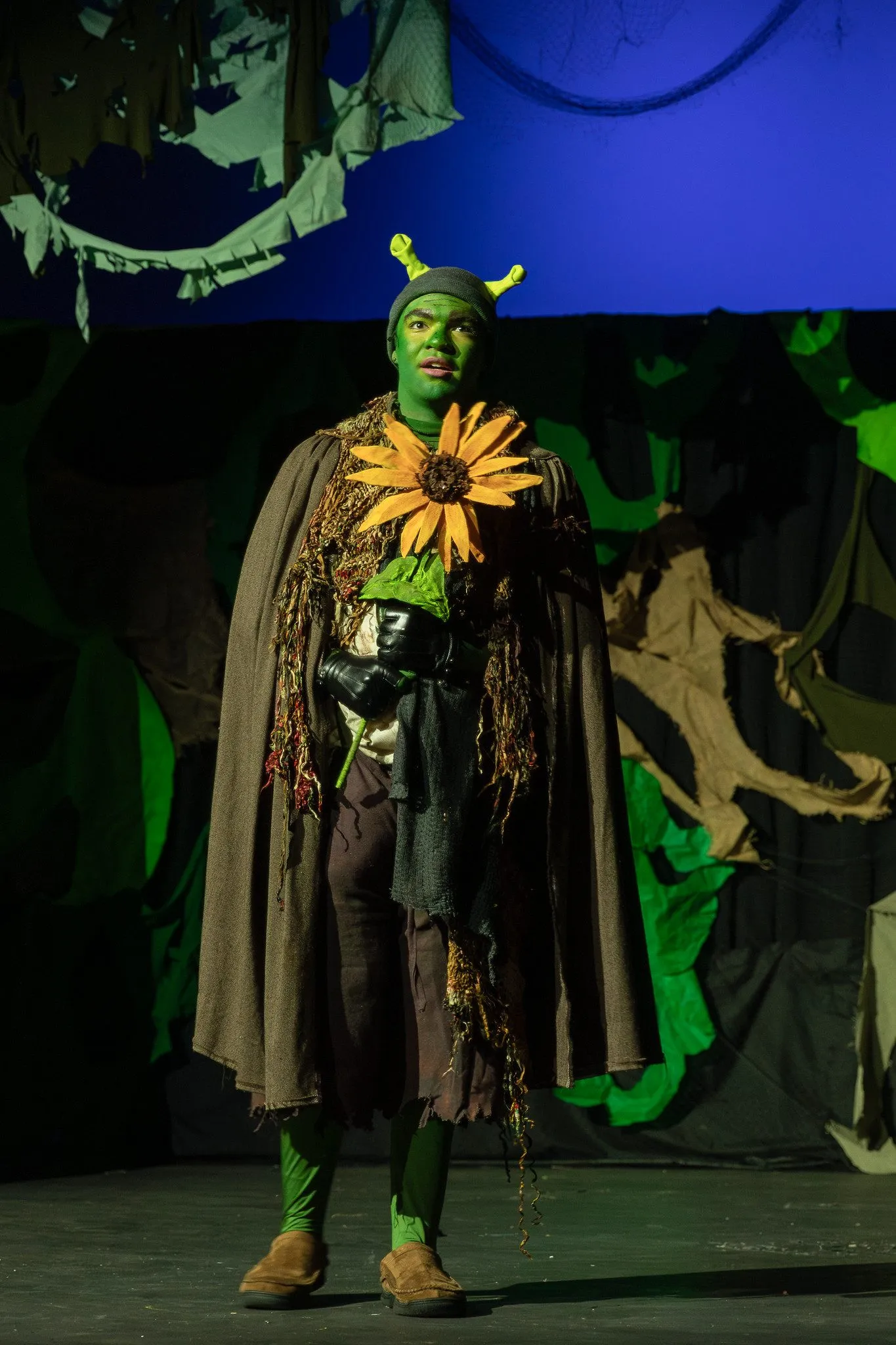 Shrek the Musical, photo 16