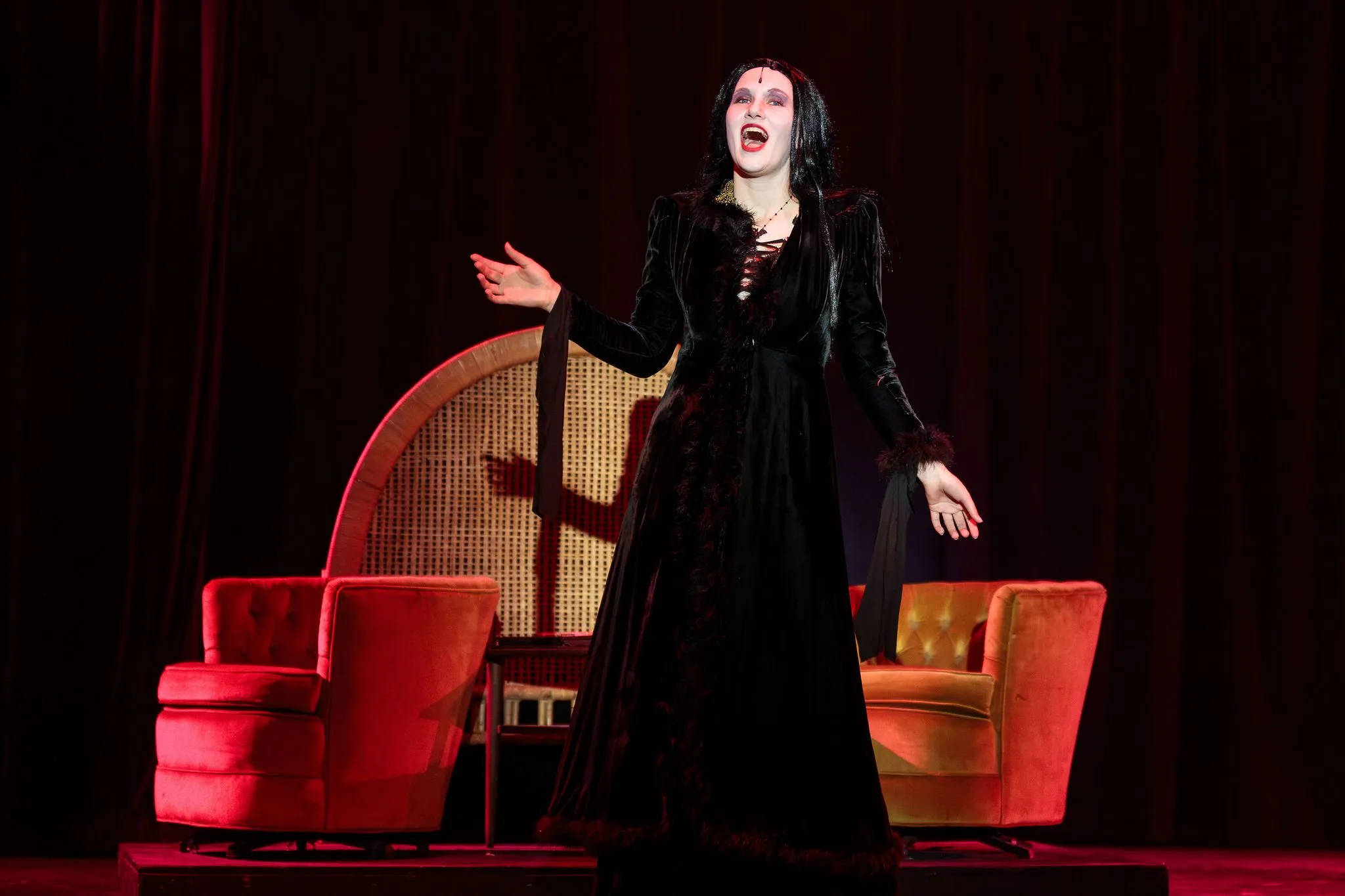 The Addams Family, photo 37